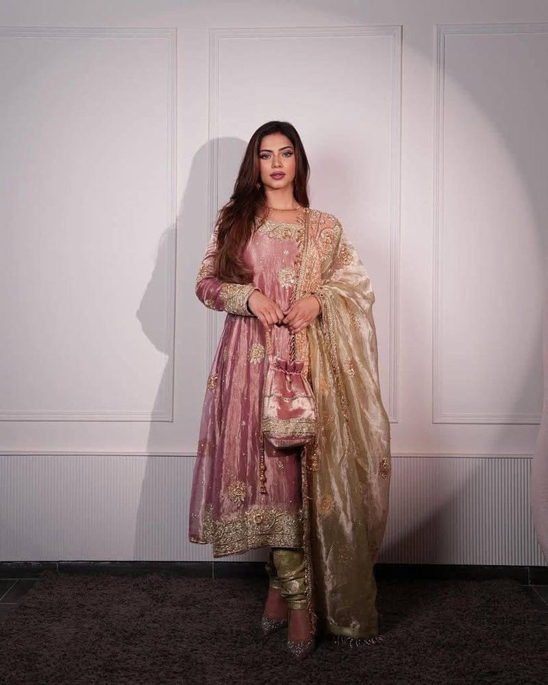 Rani Saaz Salwar Suit