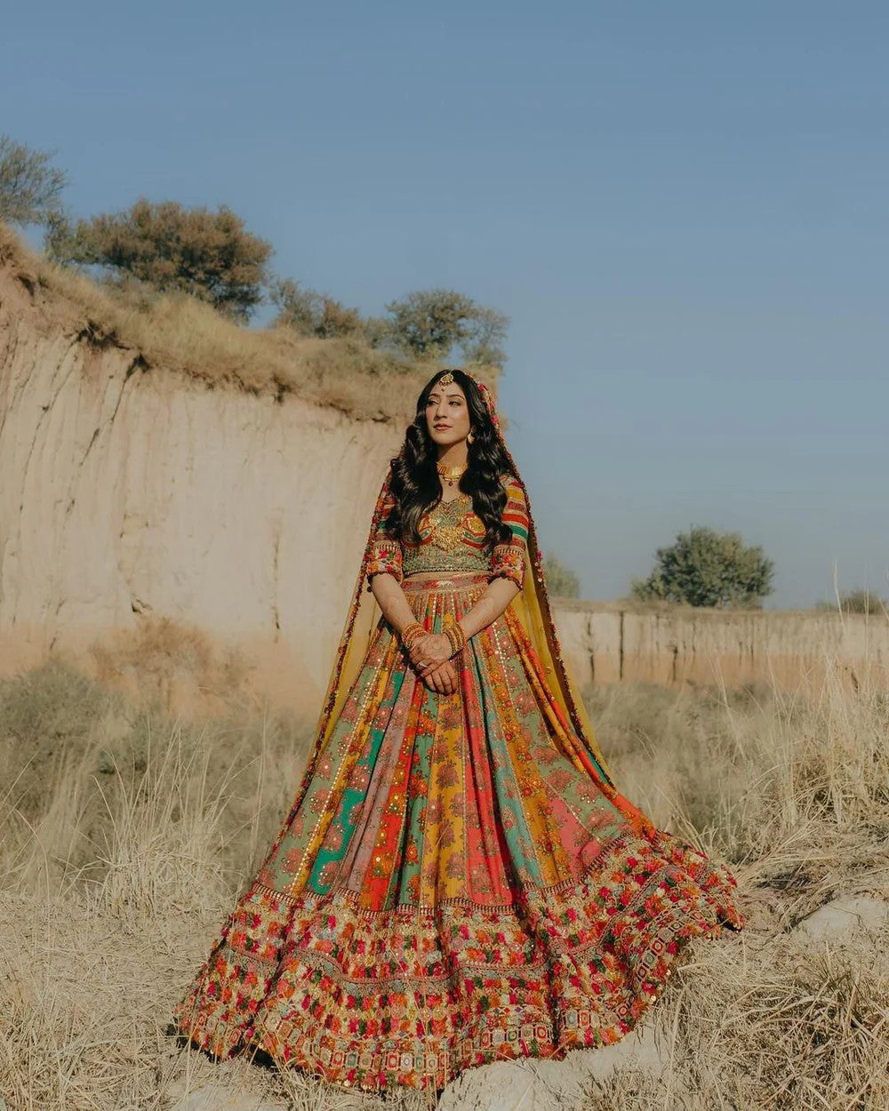 Royal Multicolored Designer Lehenga Choli