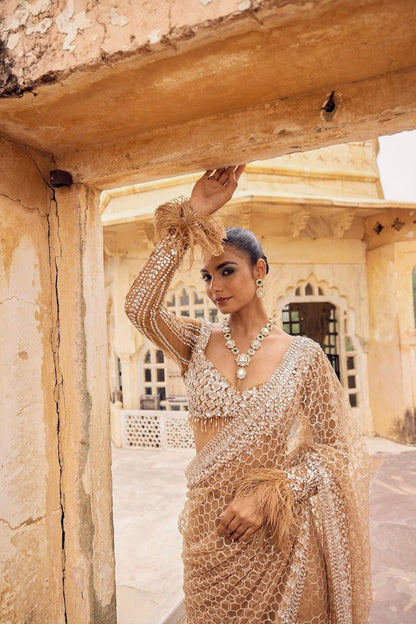 Royal Radiance Net Saree