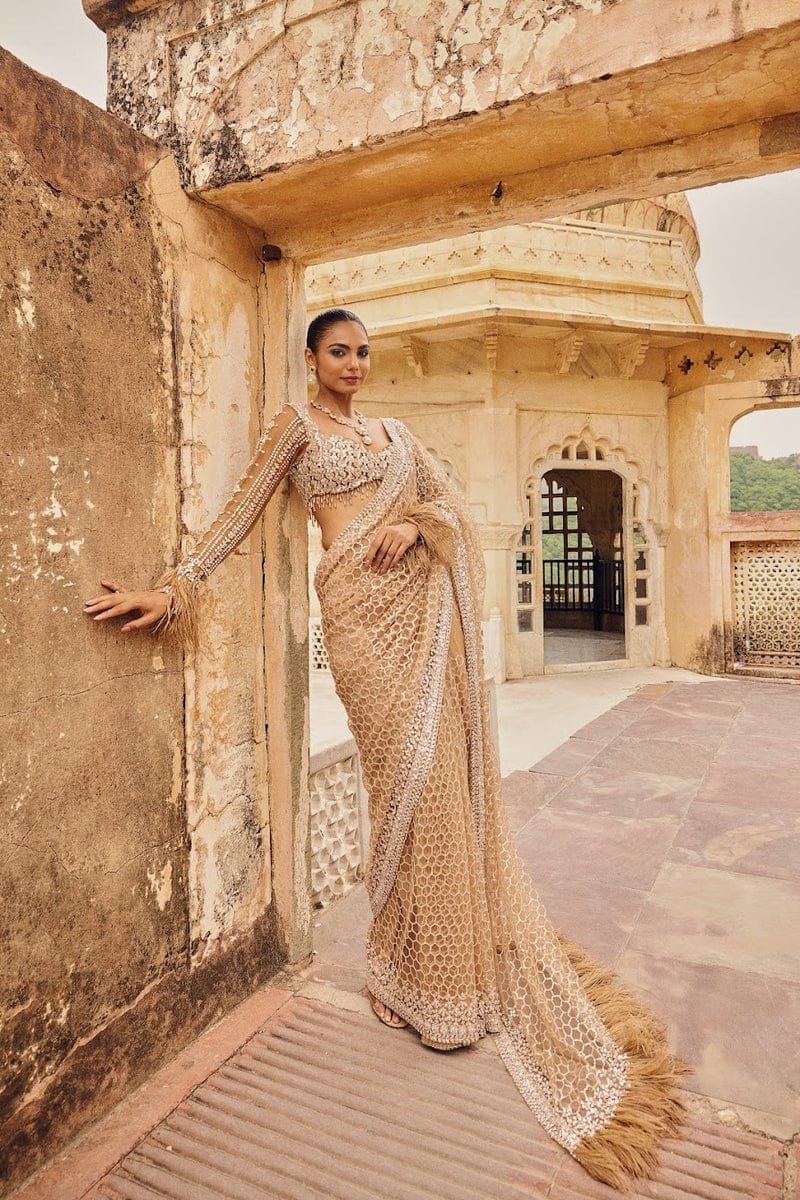 Royal Radiance Net Saree