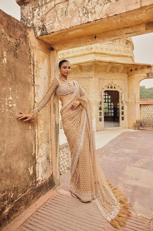 Royal Radiance Net Saree