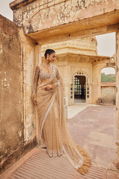 Royal Radiance Net Saree
