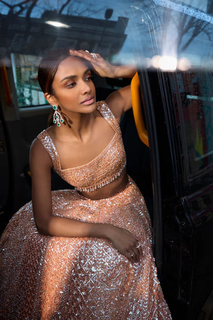 Royal Glow Lehenga Choli