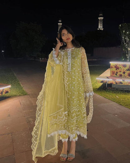 Roohani Ruh Net Salwar Suit Set